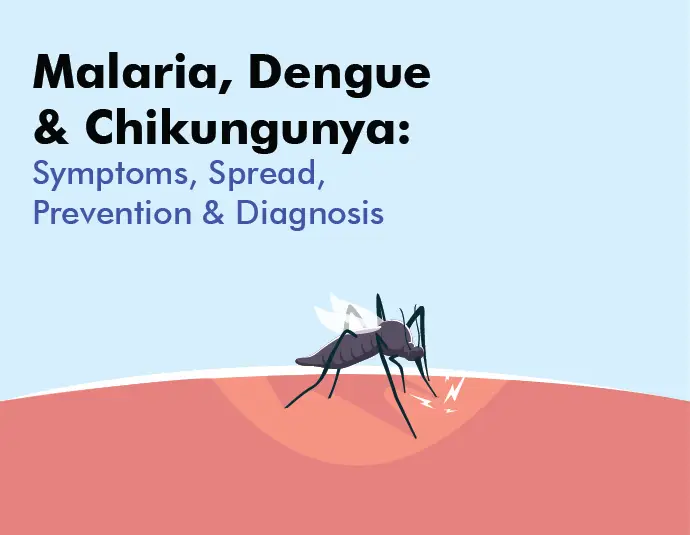 Malaria, Dengue, and Chikungunya: Symptoms, Prevention, and Diagnosis