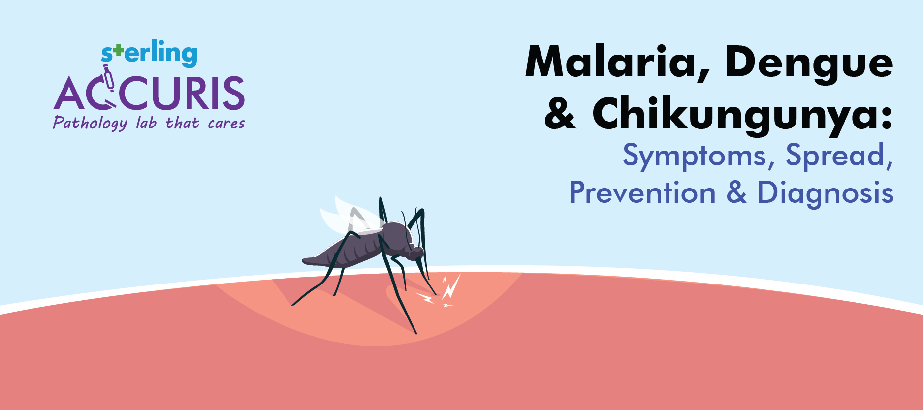 Malaria, Dengue, and Chikungunya: Symptoms, Prevention, and Diagnosis